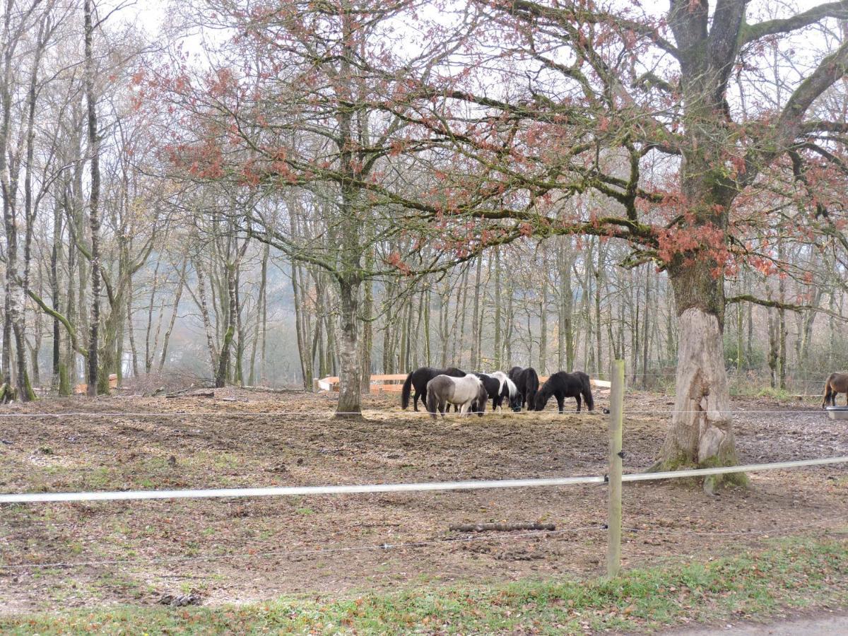 Апартаменты Domaine Du Bois Du Loup Saint-Agnan  Экстерьер фото